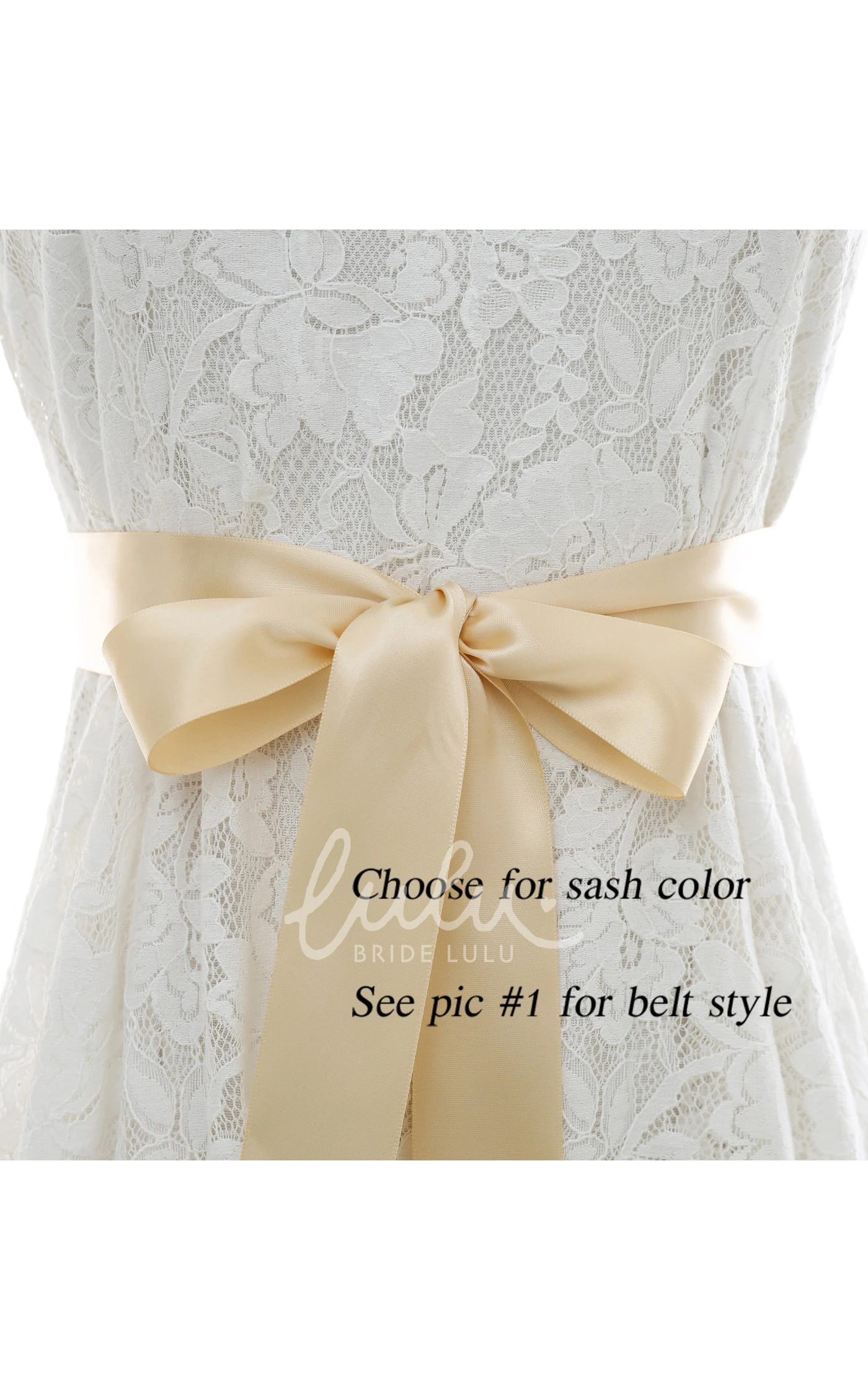 Bridal Crystal Appliqued Belt