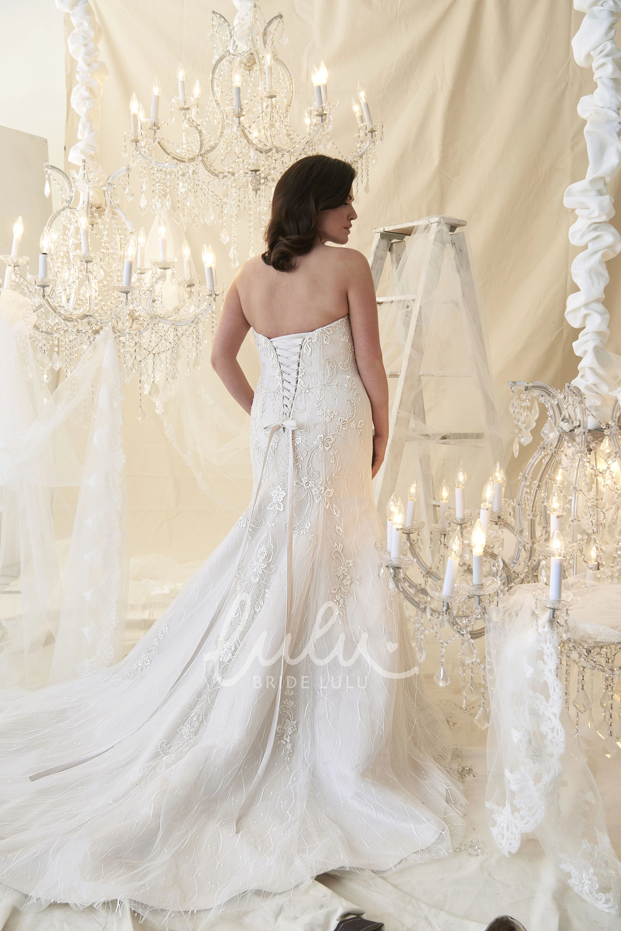 Sweetheart Beaded Tulle Plus Size Wedding Dress with Embroidery Long Sleeveless Sheath