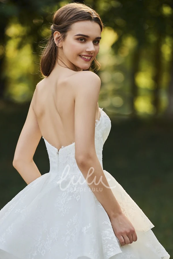 Cascading Ruffles Bridal Ball Gown Lace Sweetheart Sleeveless Open Back Cascading Ruffles Bridal Ball Gown
