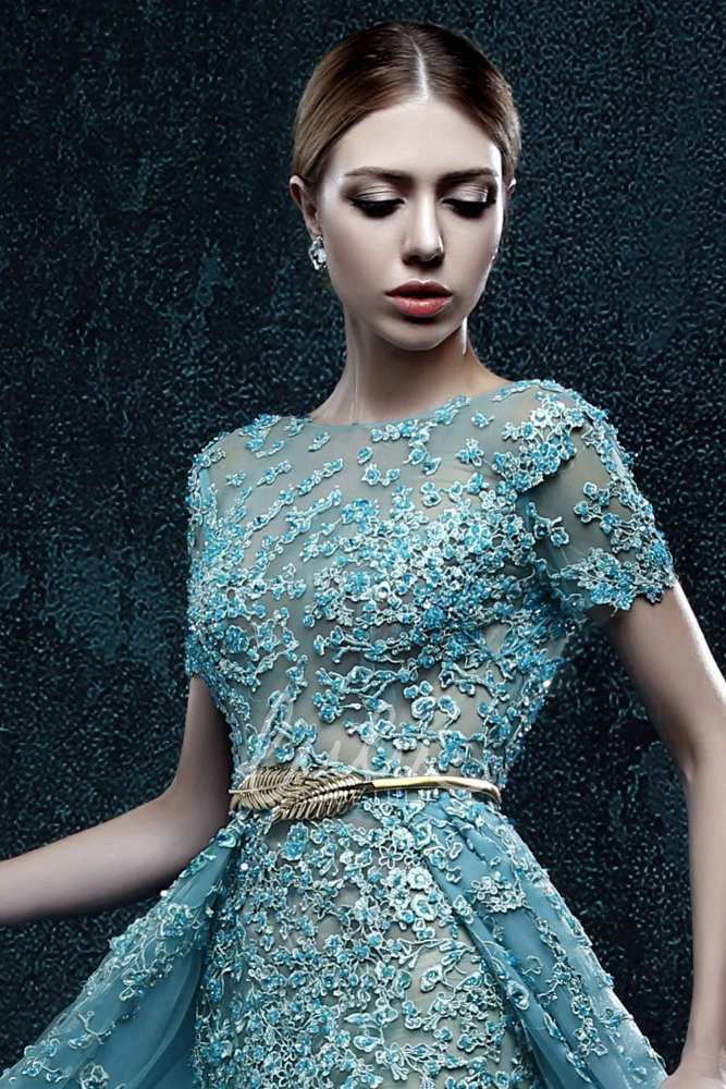 Pleated Organza A-line Dress with Flowers Short Sleeve