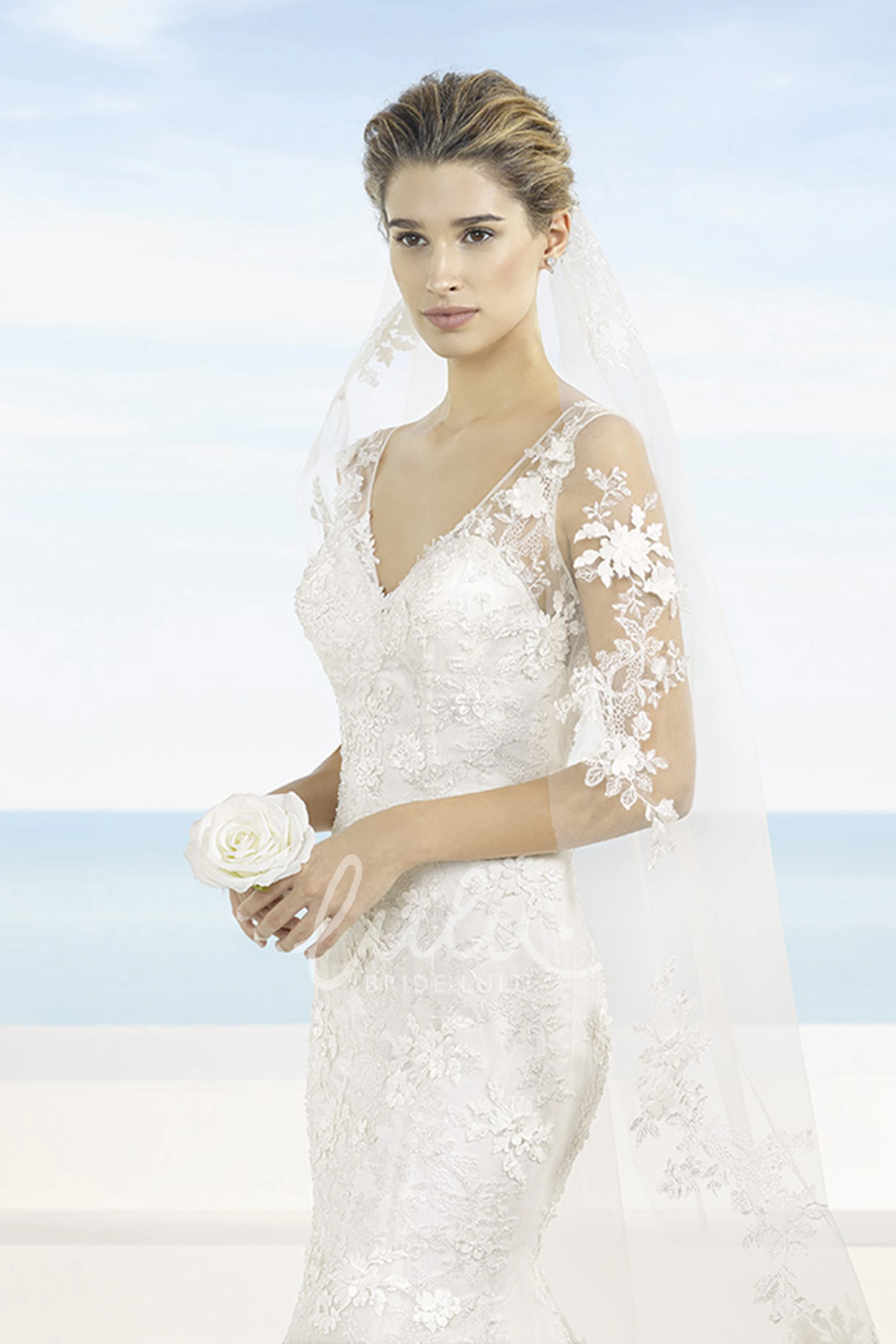 V-Neck Appliqued Lace Wedding Dress with Court Train and Illusion Back Unique Wedding Dress