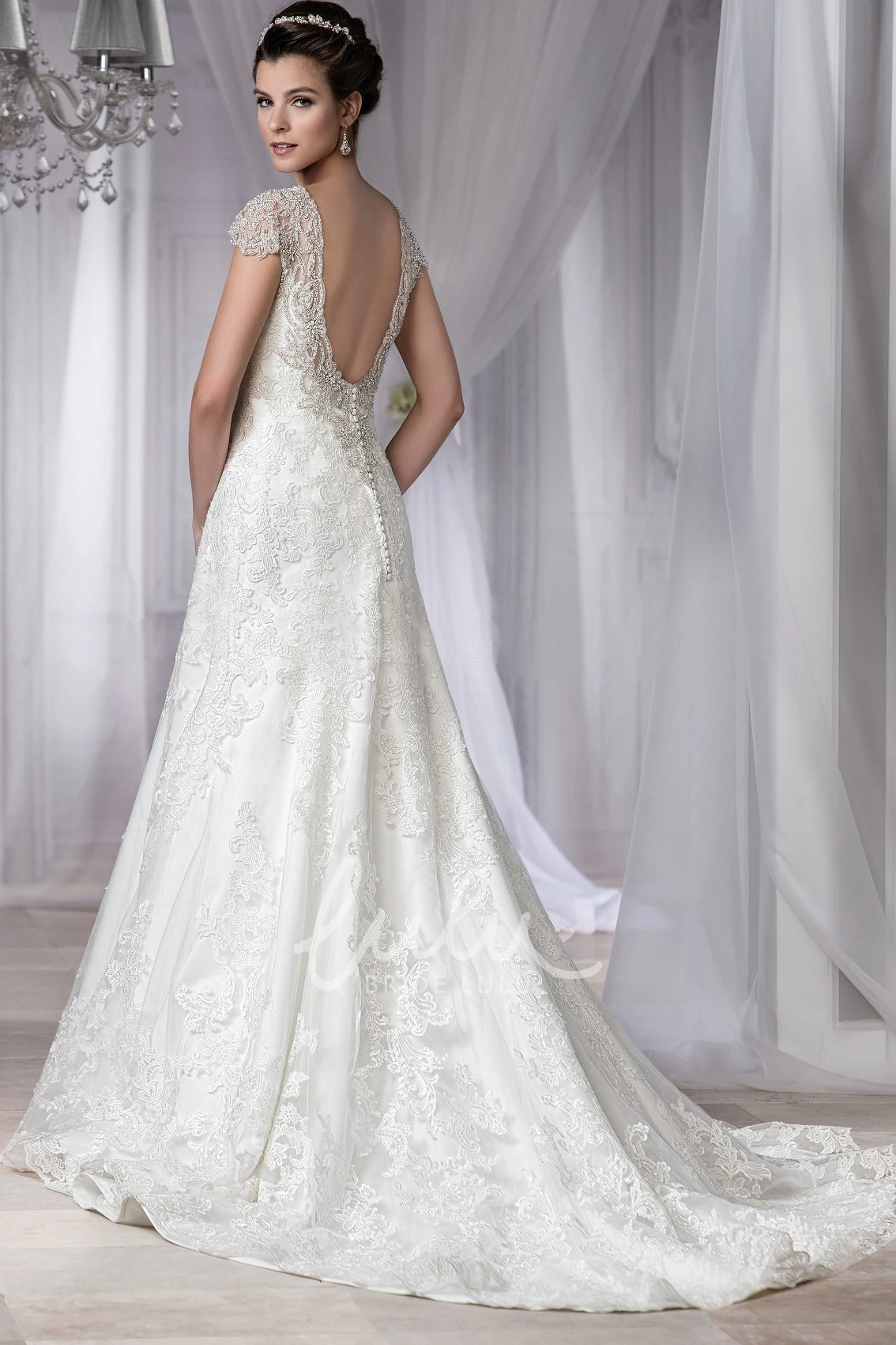 V-Neck Cap-Sleeved Wedding Dress with Appliques and Scoop Back