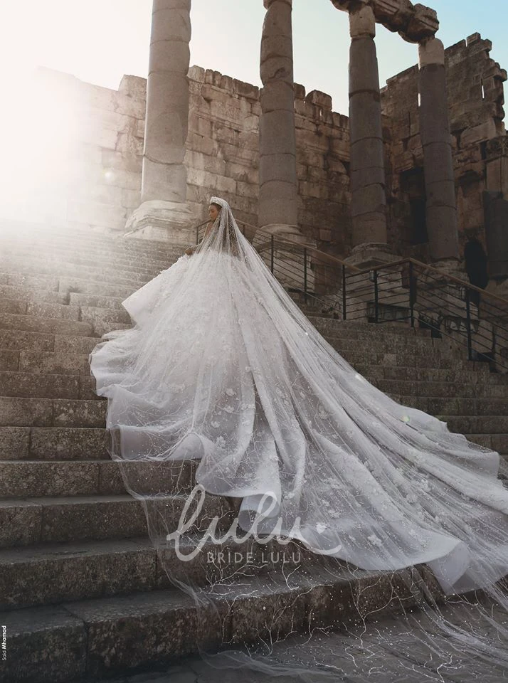 Luxury Bridal Ball Gown Wedding Dress with Appliqued Illusion Long Sleeves and 3D Floral Beading Elegant Wedding Dress