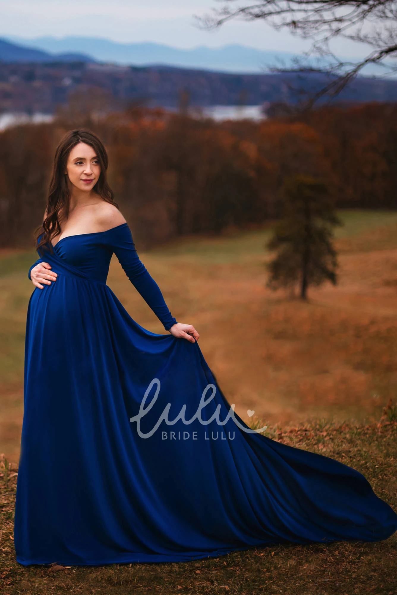 Court Train A-Line Maternity Dress with Long Sleeves and Empire Waist