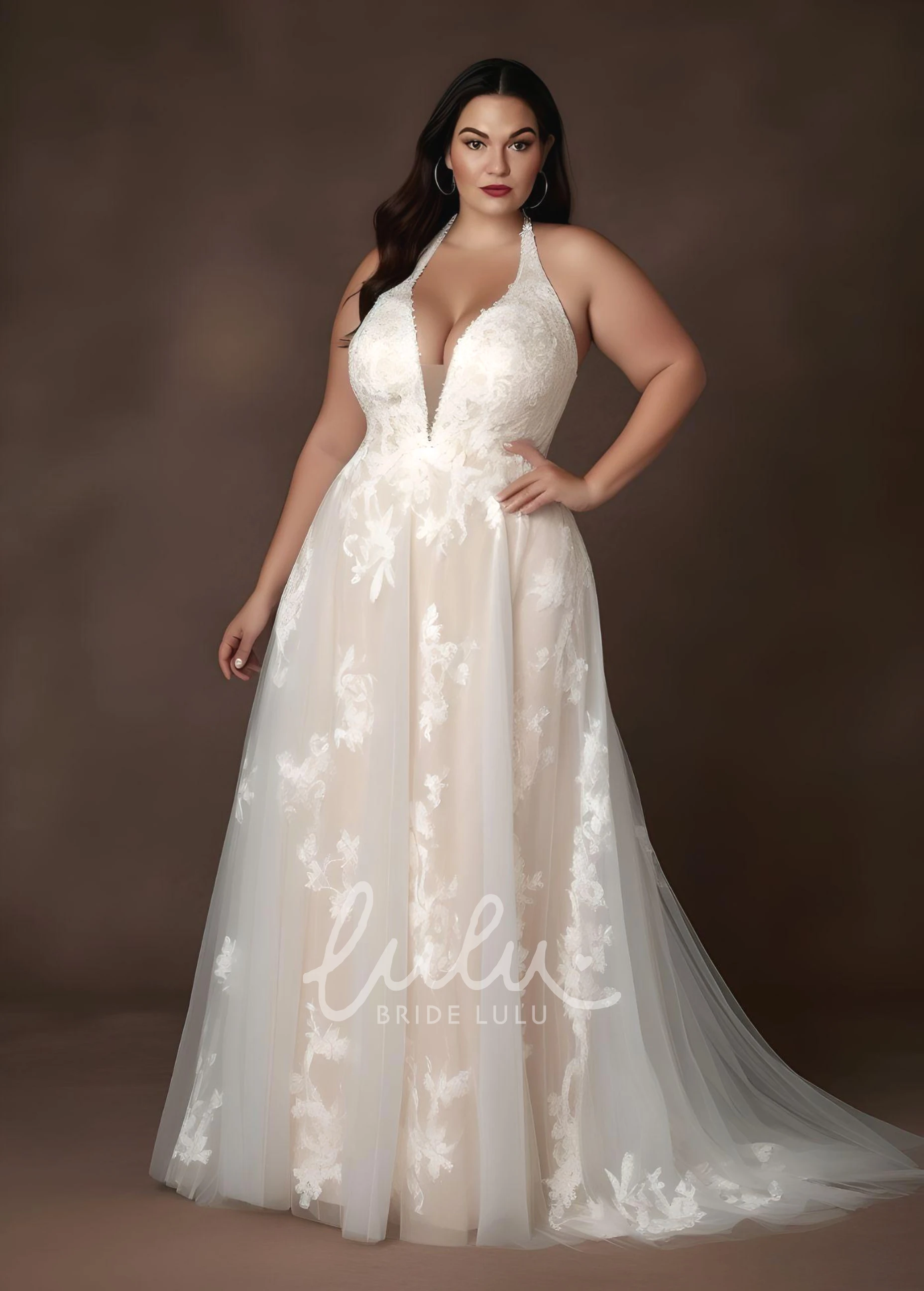 A-Line Lace Tulle Plus Size Wedding Dress Bohemian V-neck Romantic