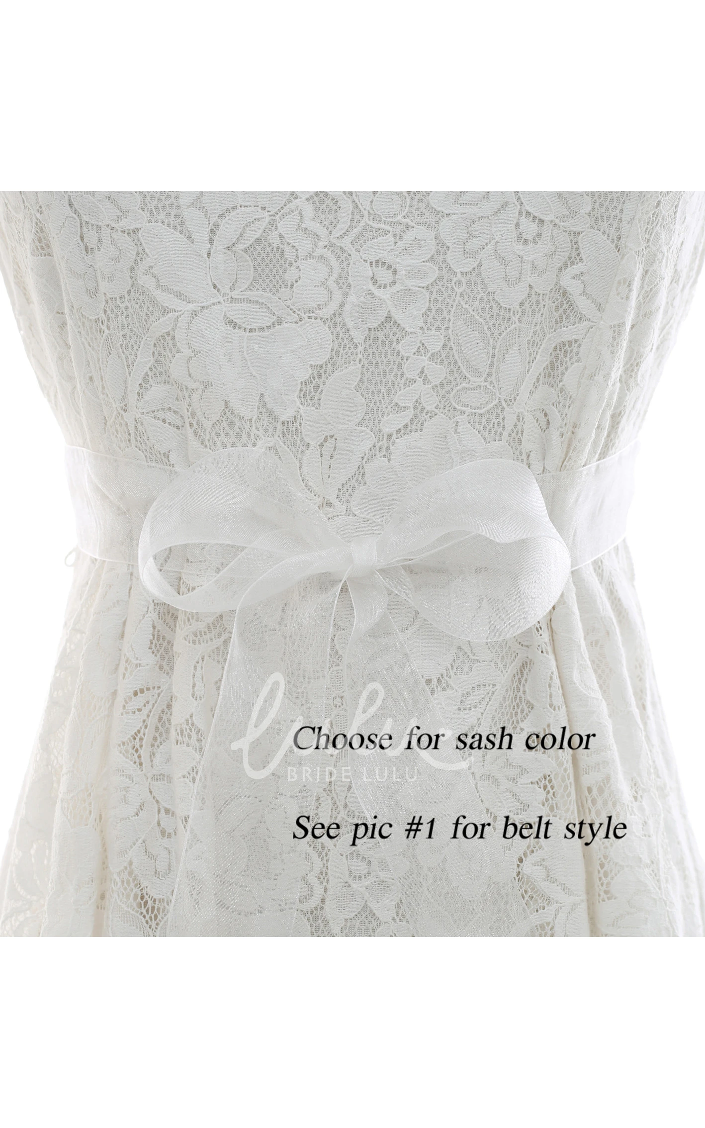 Bridal Crystal Appliqued Belt