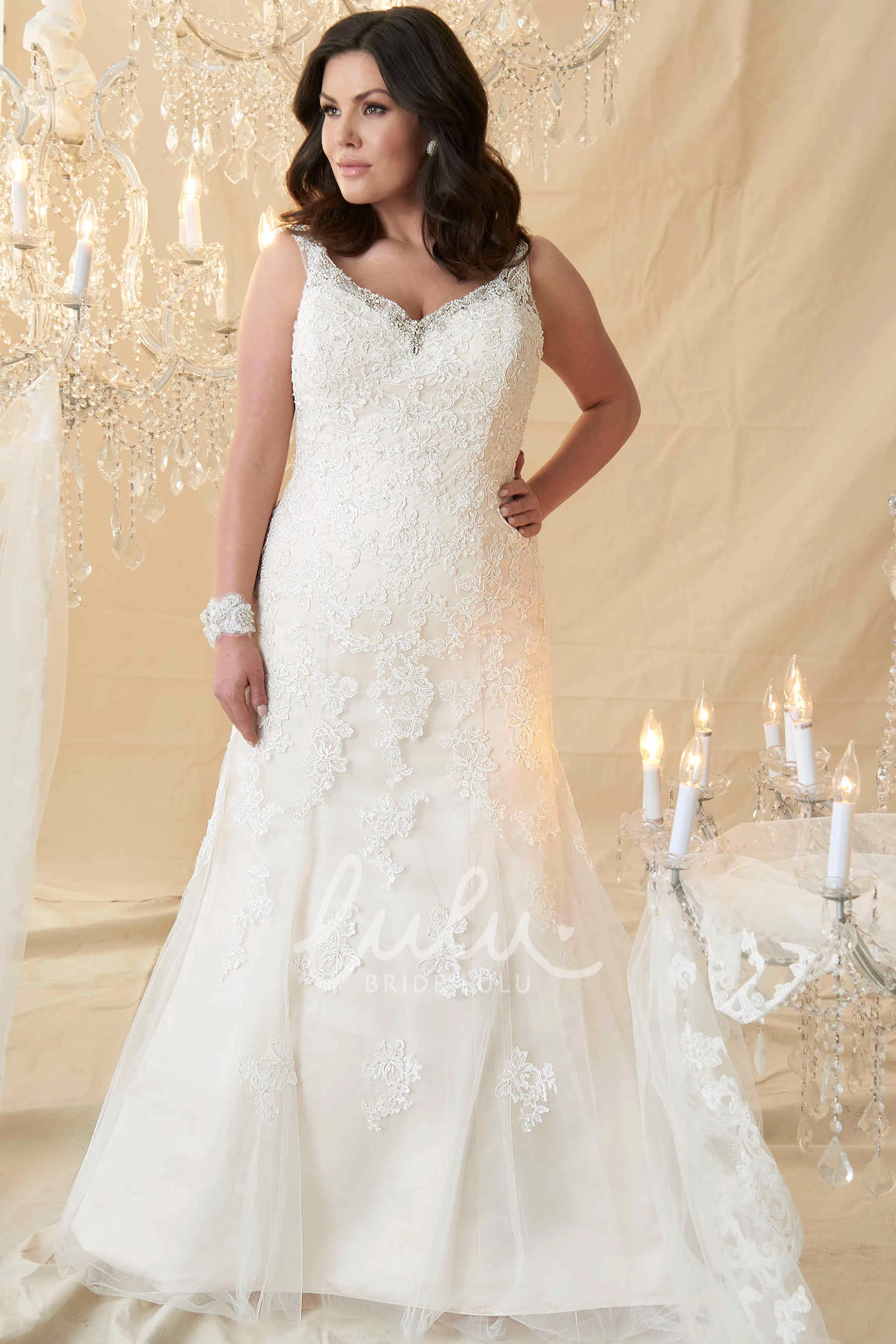 Long-Sleeveless Lace A-Line Plus Size Wedding Dress with Appliques Classy Bridal Dress