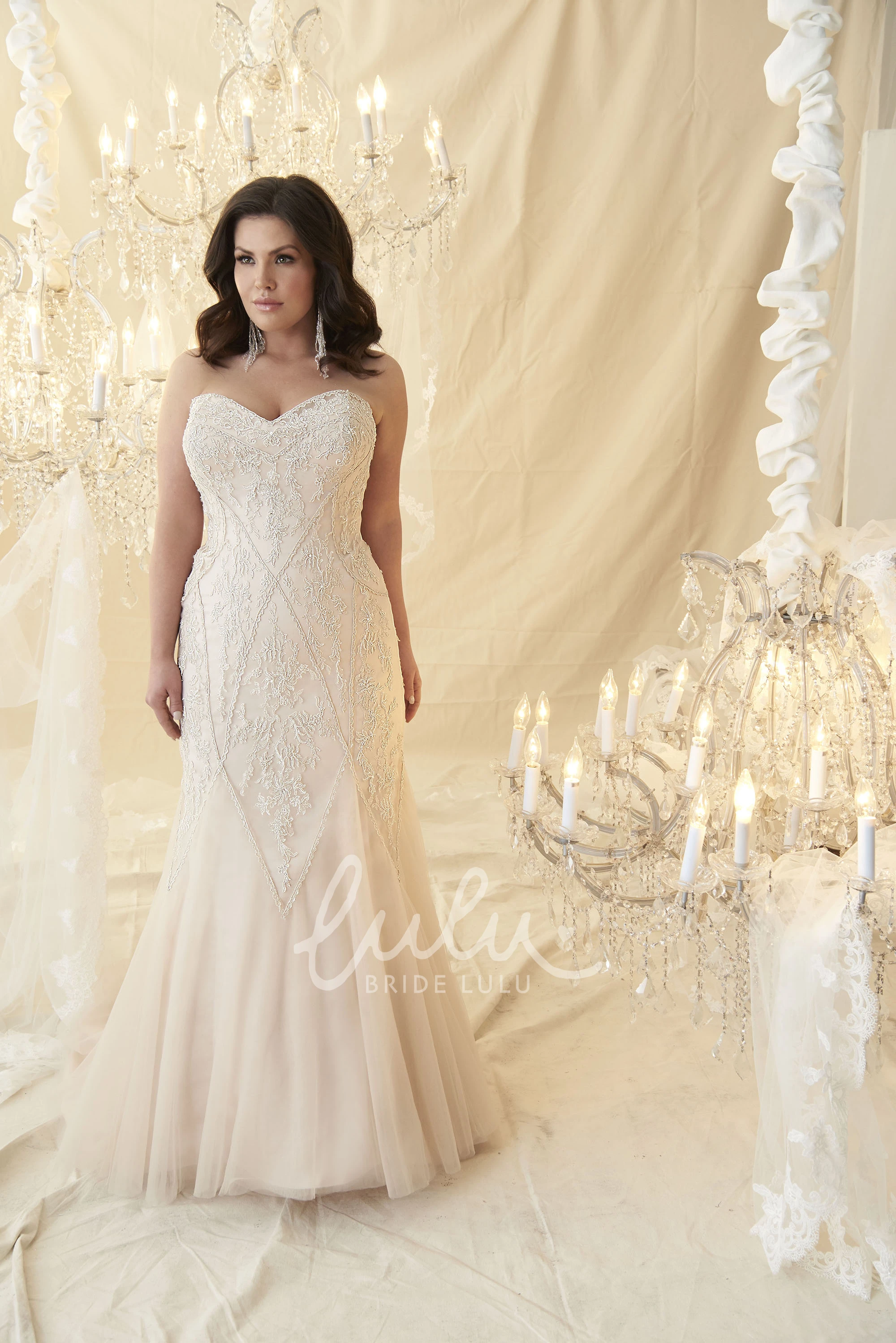 Lace Up Sweetheart Tulle Wedding Dress Mermaid Style for Plus Size