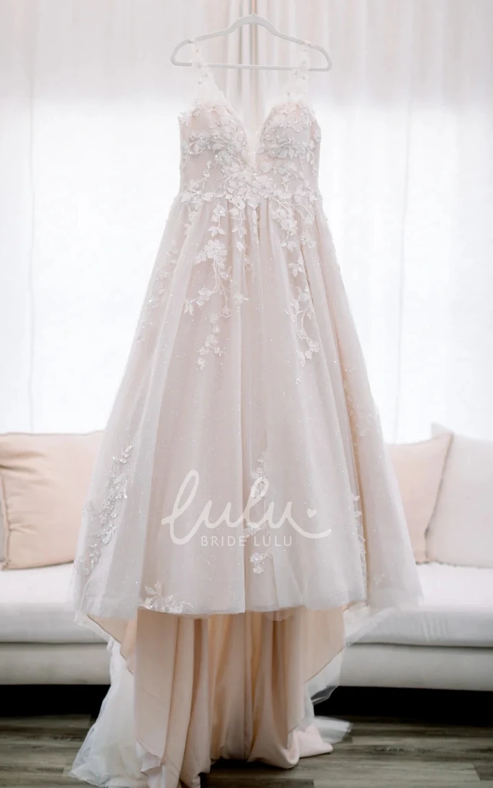 Bohemian Plus Size Chiffon V-neck Wedding Dress Court Train with Beading Sequins