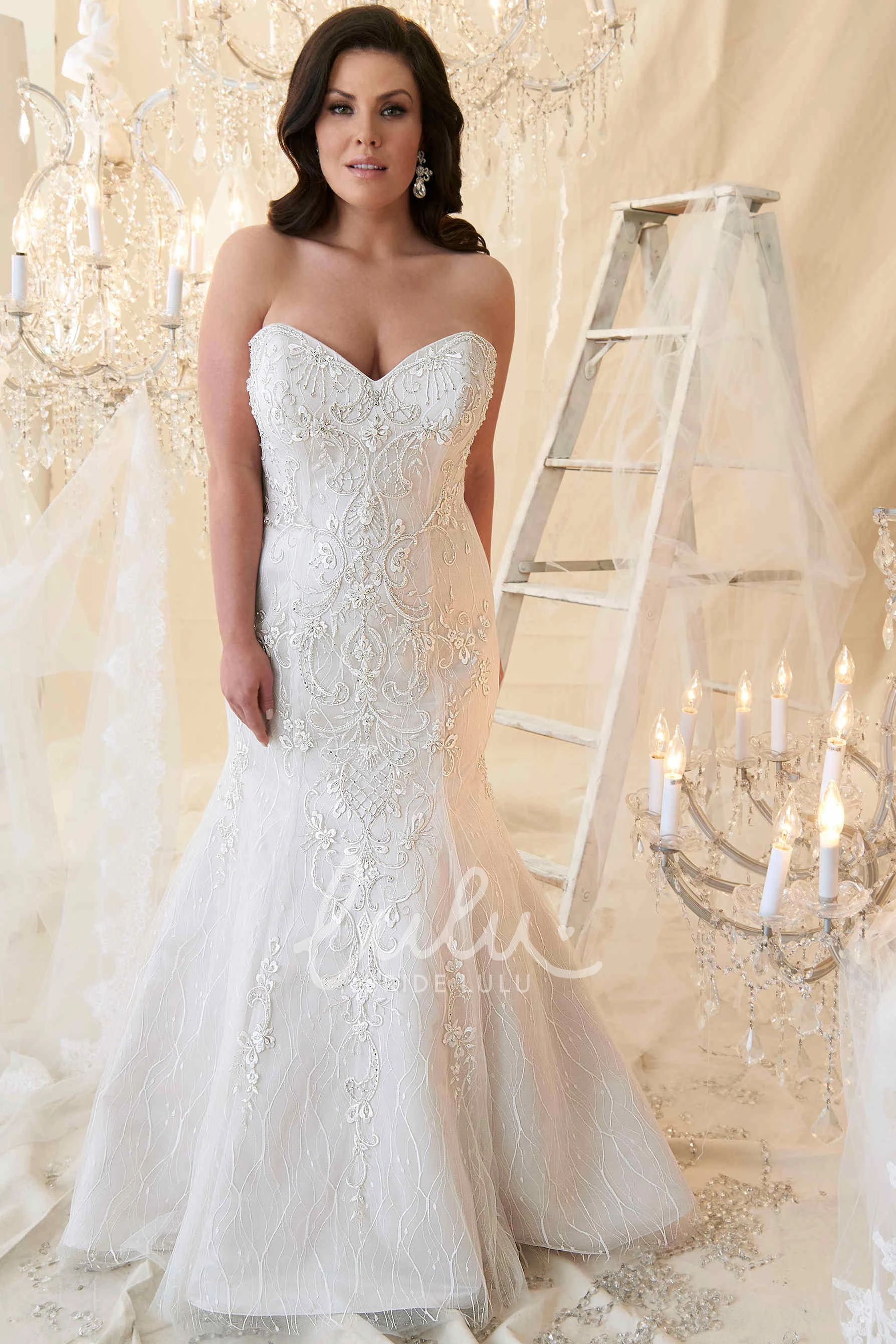 Sweetheart Beaded Tulle Plus Size Wedding Dress with Embroidery Long Sleeveless Sheath