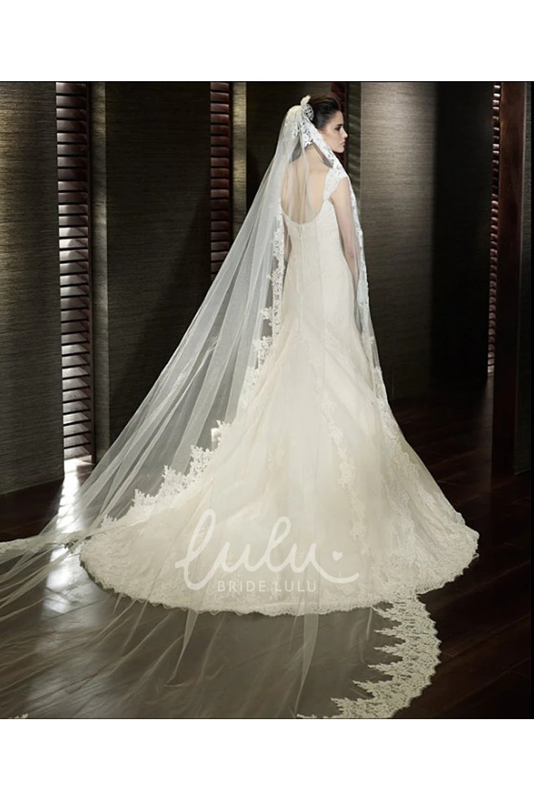 Beautiful Soft Tulle Bridal Veil with Lace Appliques Wedding Dress