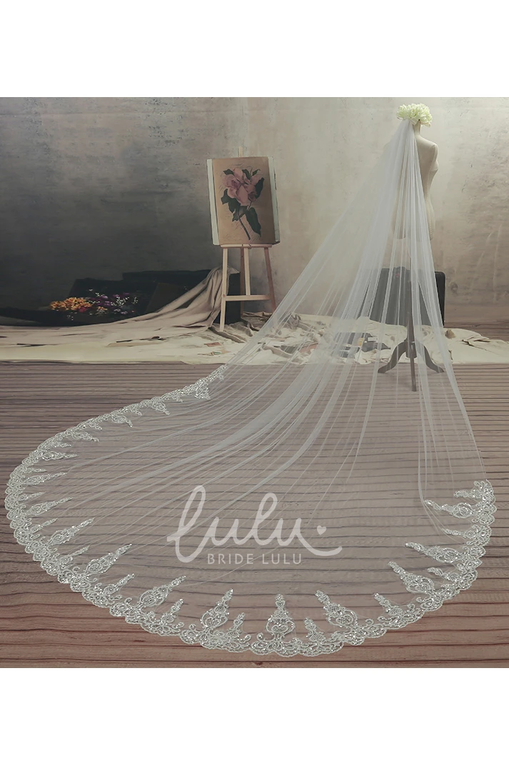Cathedral Tulle Wedding Veil Ethereal Lace Edge