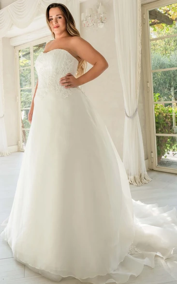 Organza Sweetheart Sleeveless Wedding Dress Modern A Line Floor-Length Appliqued Bridal Gown