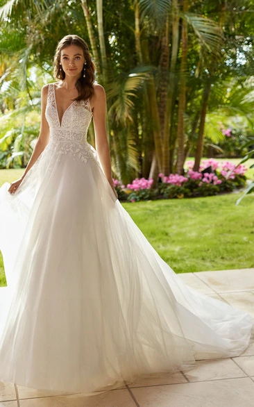 Elegant Lace A-Line Wedding Dress with V-Neck and Appliques Women's Bridal Gown