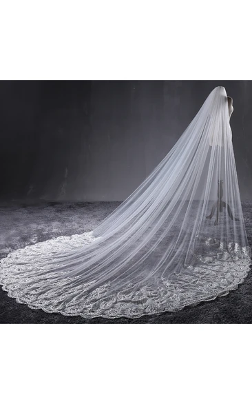 Romantic Rhinestone Tulle Veil with Lace Applique Gorgeous Bridal Accessory