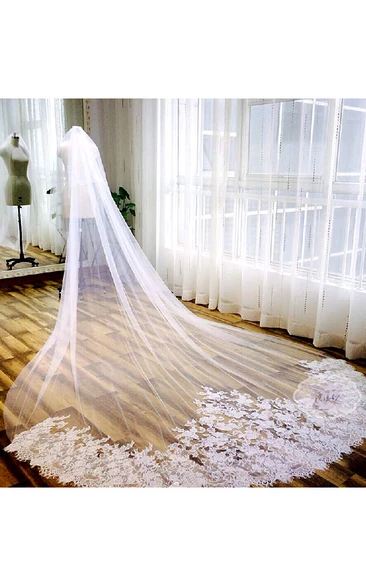 Romantic Lace Edge Tulle Wedding Veil Long & Soft