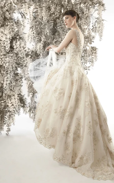 Lace Appliqued Sleeveless A-Line Wedding Dress Floor-Length Low V-Back Chapel Train