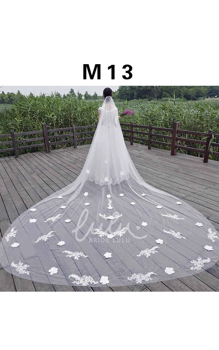 Lace Applique Soft Tulle Bridal Veil with Long Length Wedding Dress
