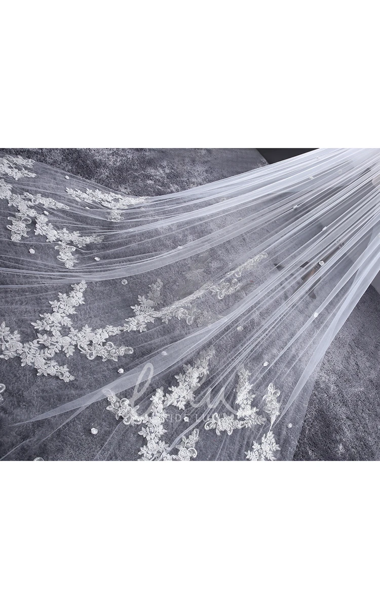 Long Tulle Wedding Veil Ethereal Lace & Flower Appliques for Bride