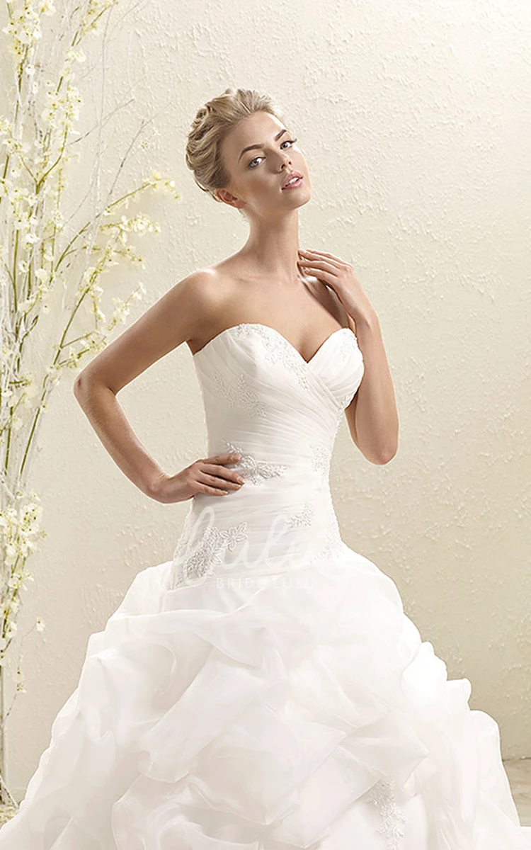 Ruffled Organza Wedding Dress with Criss Cross and Appliques Ball Gown Sweetheart Dress