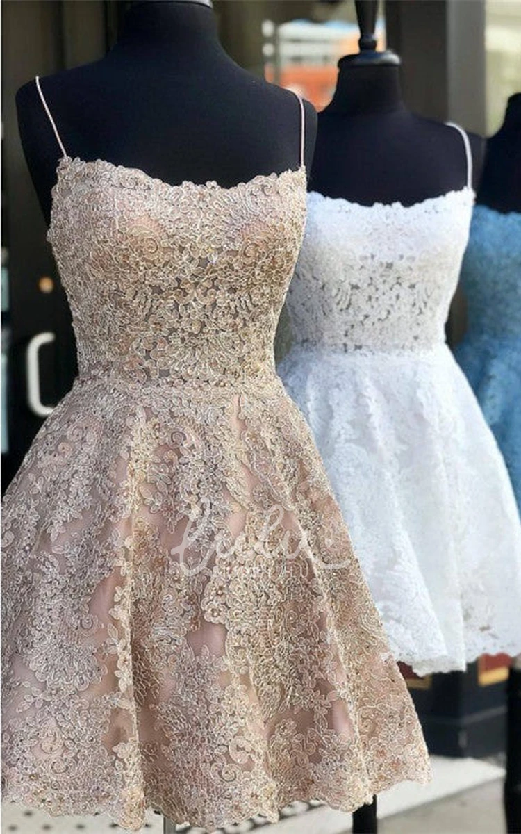 Romantic Lace A Line Homecoming Dress with Tied Back and Appliques Elegant Formal Dress 2024