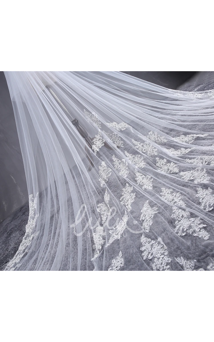 Lace Appliques Cathedral Tulle Wedding Veil Ethereal Bridal Accessory