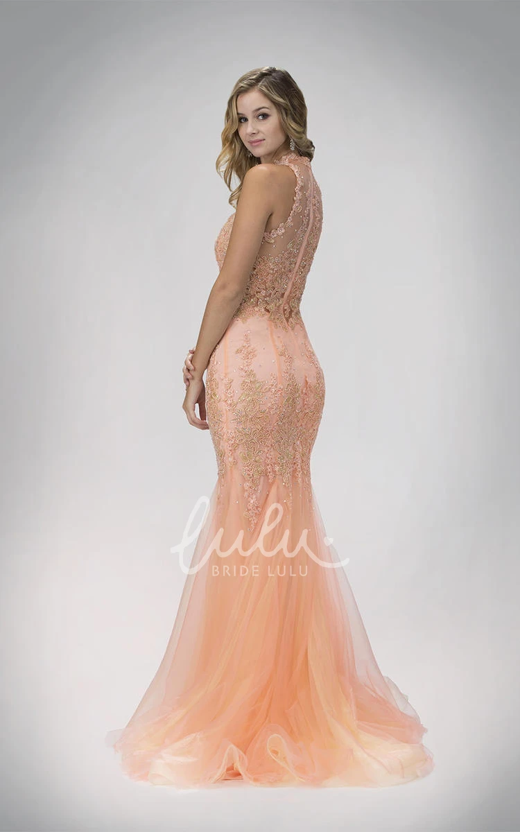 Mermaid Tulle Prom Dress with High Neckline and Appliques