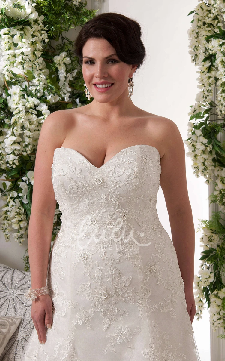 Sleeveless Lace Appliqued Sweetheart Plus Size Wedding Dress Modern Wedding Dress