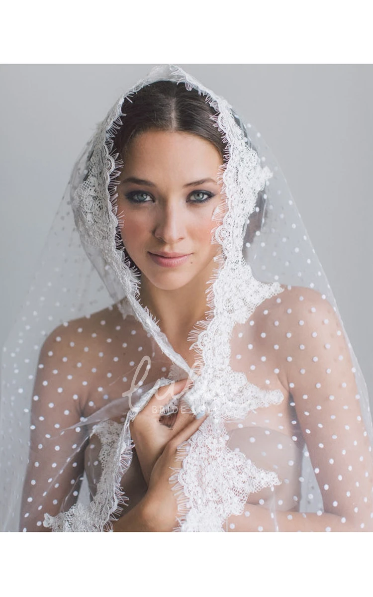 Long Lace Appliques Bride Veil with Hair Comb Classic Bridal Accessory