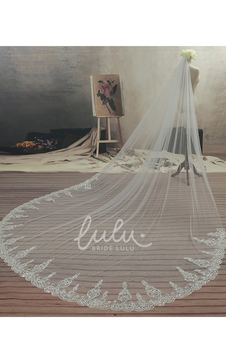 Cathedral Tulle Wedding Veil Ethereal Lace Edge