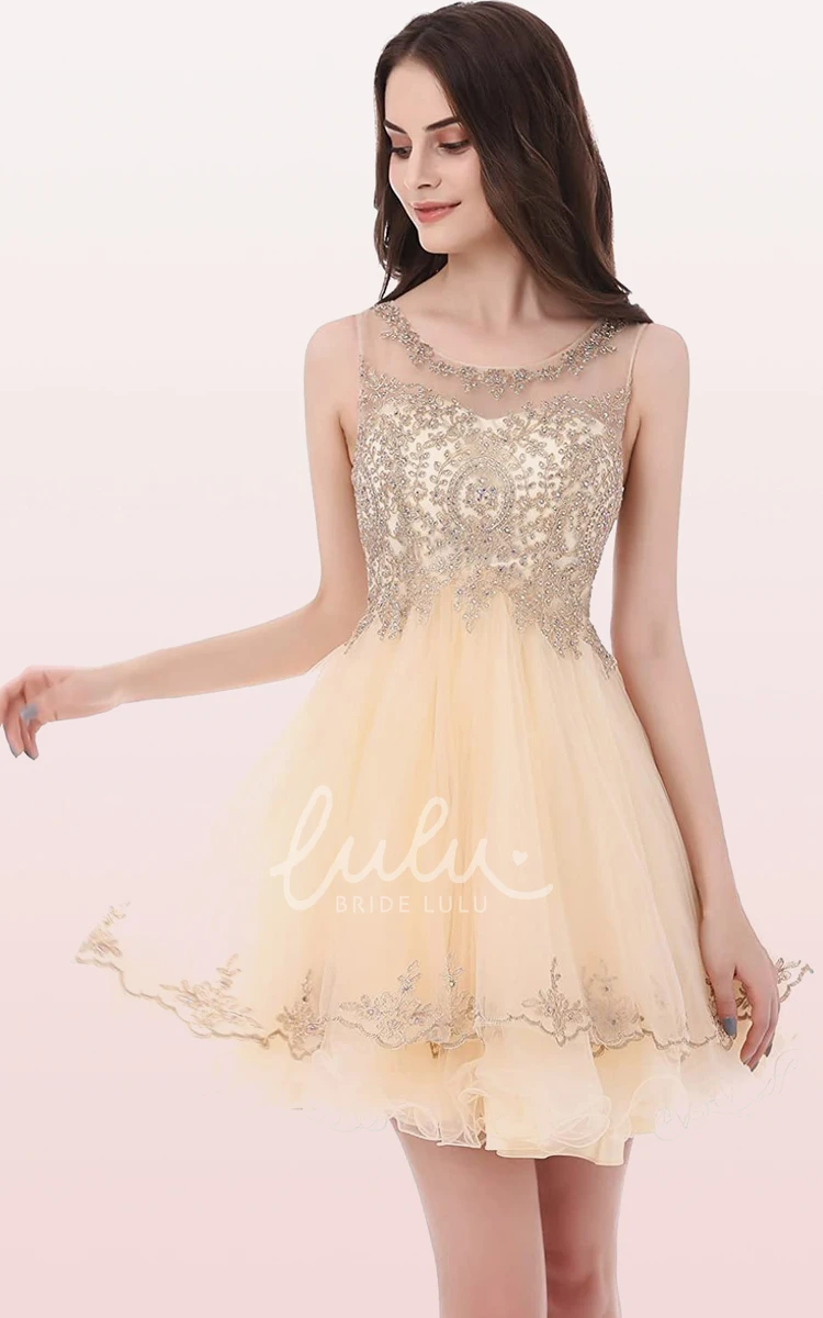 Sleeveless Tulle A-Line Homecoming Dress with Embroidery Romantic and Dreamy