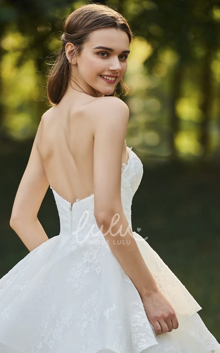 Cascading Ruffles Bridal Ball Gown Lace Sweetheart Sleeveless Open Back Cascading Ruffles Bridal Ball Gown